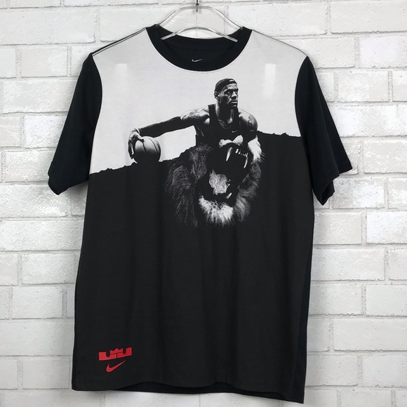 Nike Other - Nike Lebron Graphic Dri-Fit Tee Boy’s Size:XL